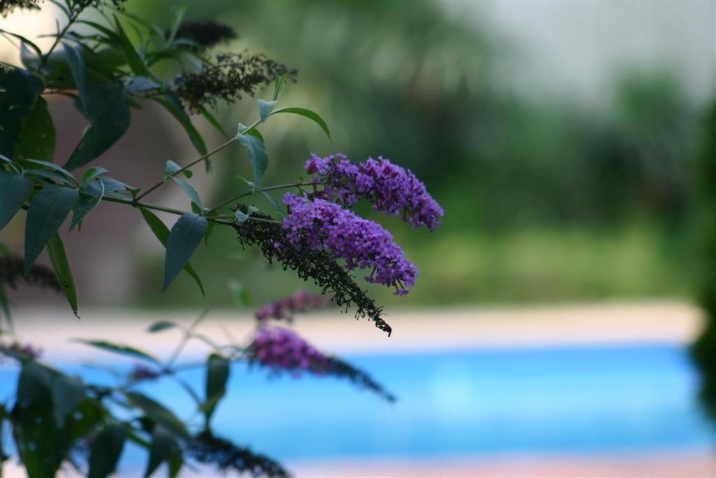مبيت وإفطار Hindisheim Bois Joli De La Freyere المظهر الخارجي الصورة